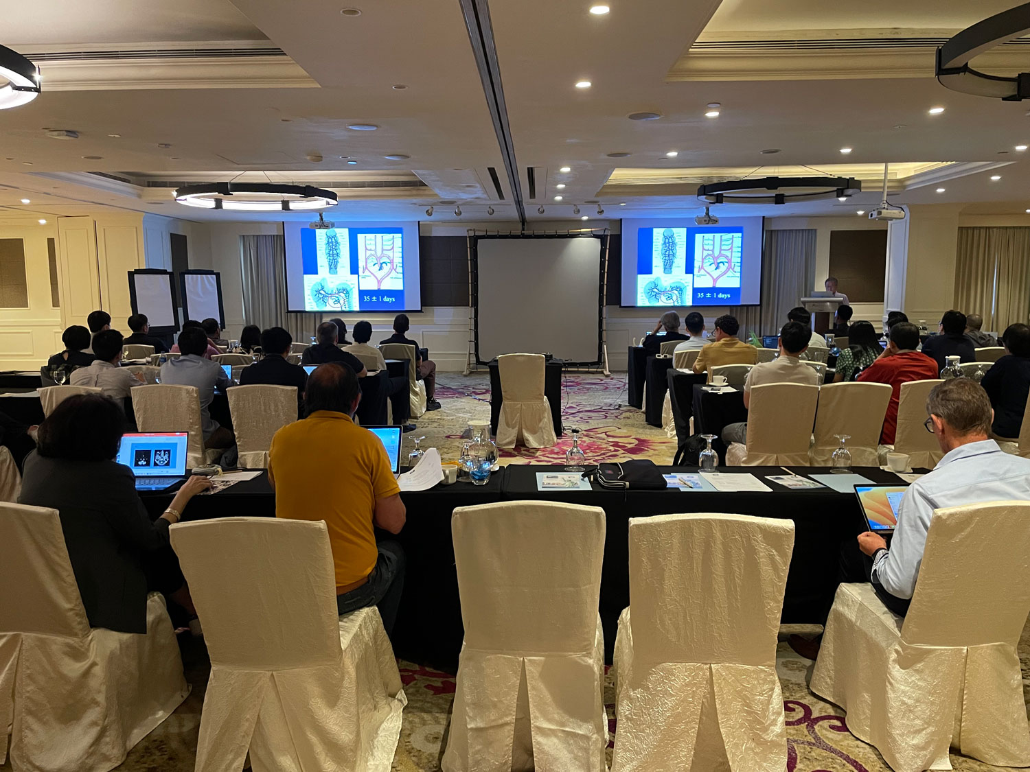 Course Singapore 2023 | WFITN World Federation of Interventional ...