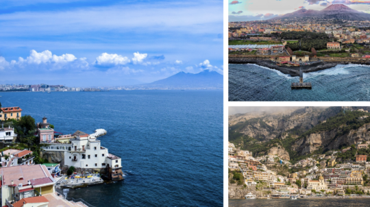 WFITN Neurovascular Anatomy Course in Stroke, Naples 2025