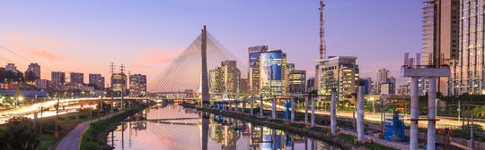 Sao Paulo WFITN Course on Neurovascular Anatomy 2016