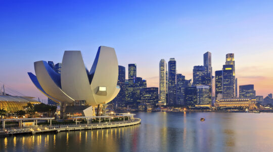 WFITN Course in Neurovascular Anatomy in Stroke, Singapore 2023